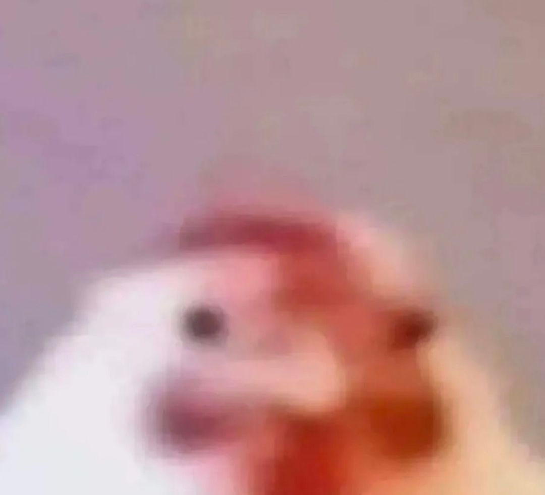 WhatsApp Image 2026-01-05 at 2.43.34 AM (1).jpeg